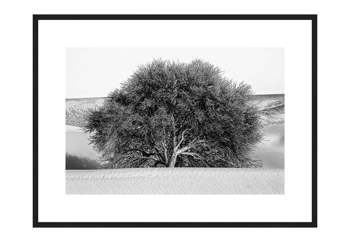 Resilience and Perseverance I with frame, Desert Stories Series (Photo Edition), Nik Barte