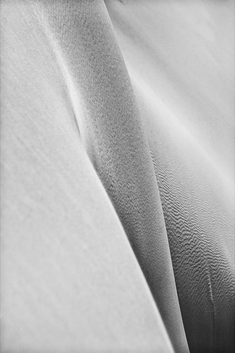 Lady CheGaga, Reverse Bodyscapes Series, Nik Barte