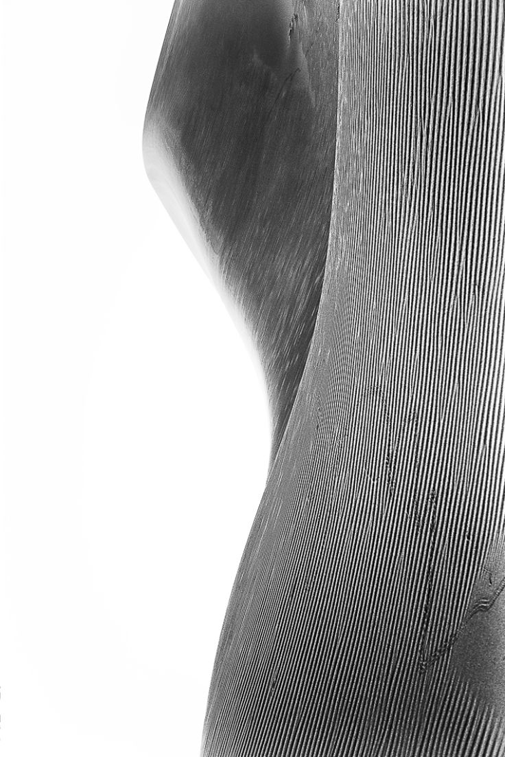 Scars, Reverse Bodyscapes Series, Nik Barte
