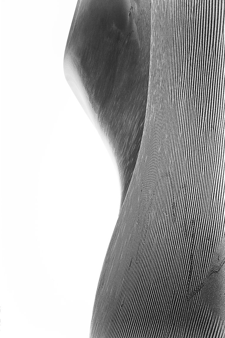 Scars, Reverse Bodyscapes Series, Nik Barte