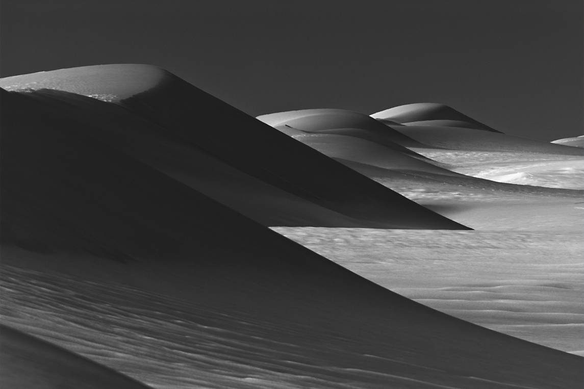 The Pack Survives, DUNES Unveiled Beauties Series, Nik Barte