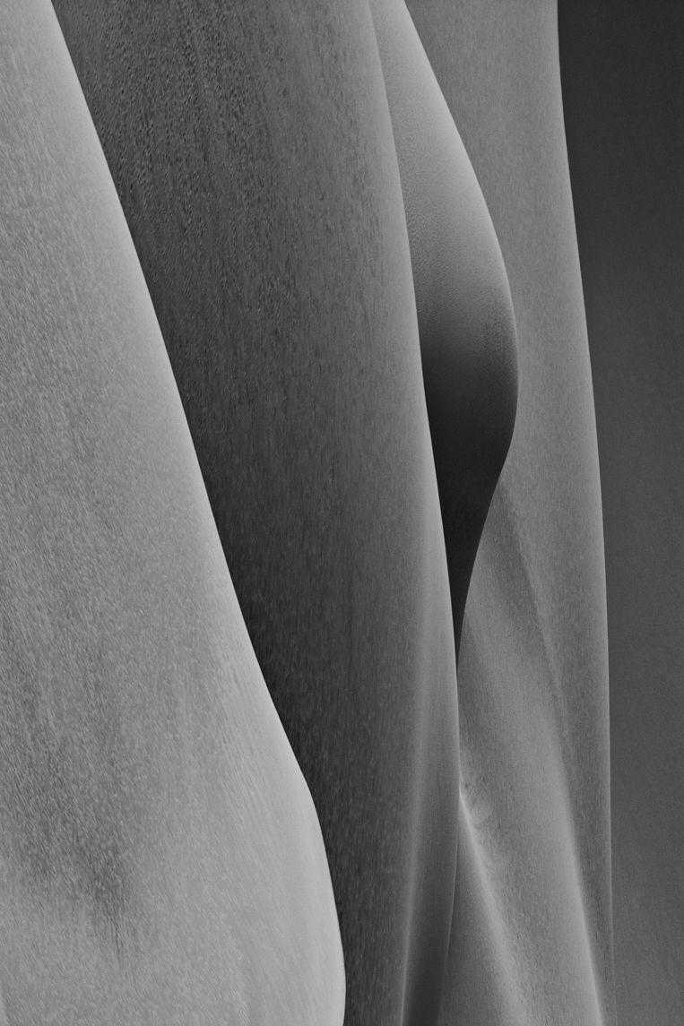 Trapped by Pleasure, Reverse Bodyscapes Series, Nik Barte