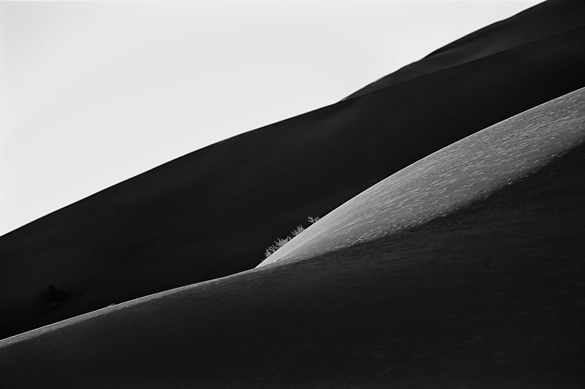 Black Venus, Reverse Bodyscapes Series, Nik Barte