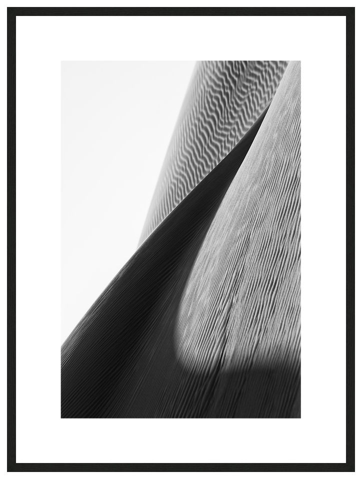 Sand Thorn with frame, Reverse Bodyscapes Series, Nik Barte