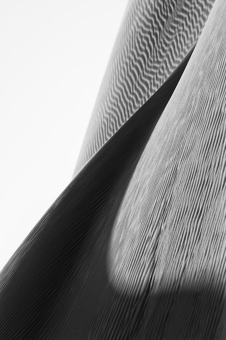 Sand Thorn, Reverse Bodyscapes Series, Nik Barte