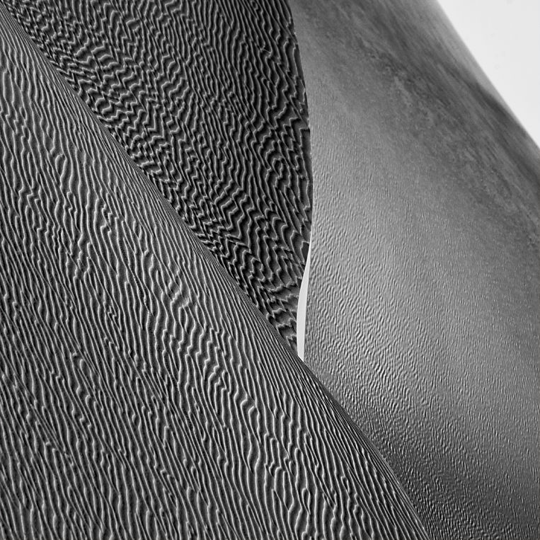 The Texture of Life, Reverse Bodyscapes Series, Nik Barte, Sahara Desert