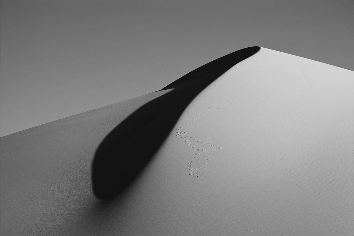 Intruders, desARTification 2013 Series, Nik Barte