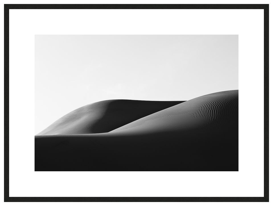 The Elephants with frame, desARTification 2013 Series, Nik Barte