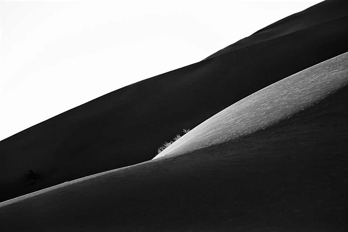 Black Venus, ESSENTIA Series, Nik Barte