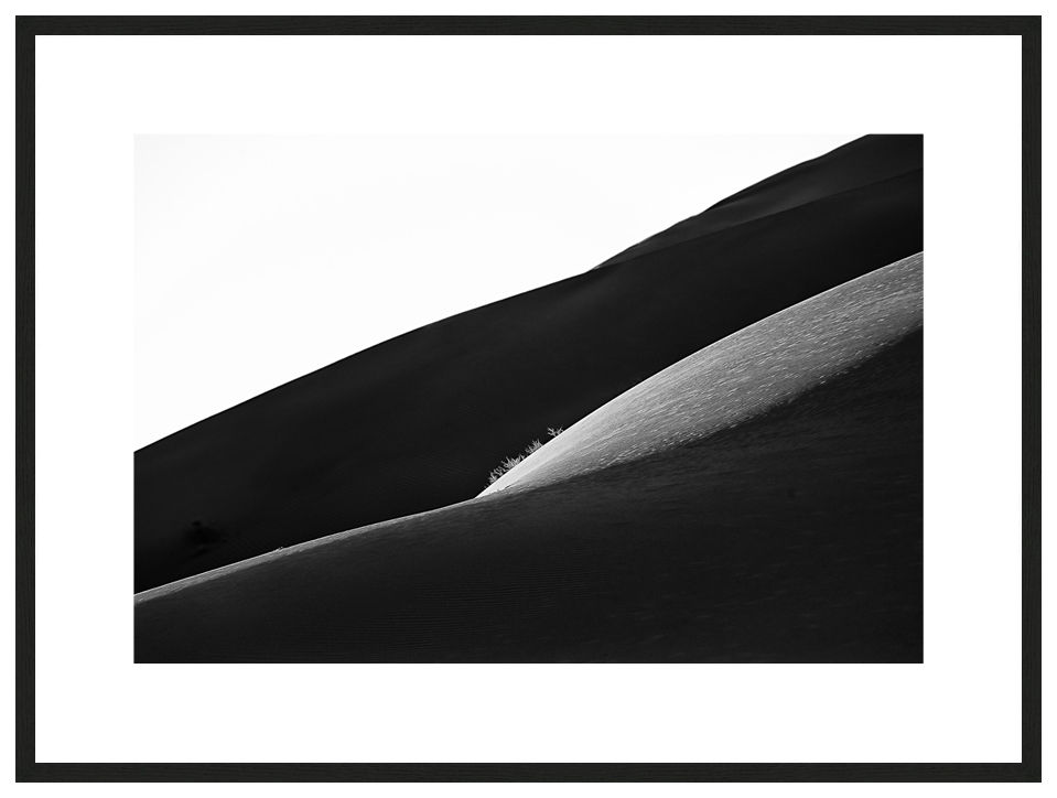 Black Venus with frame, ESSENTIA Series, Nik Barte