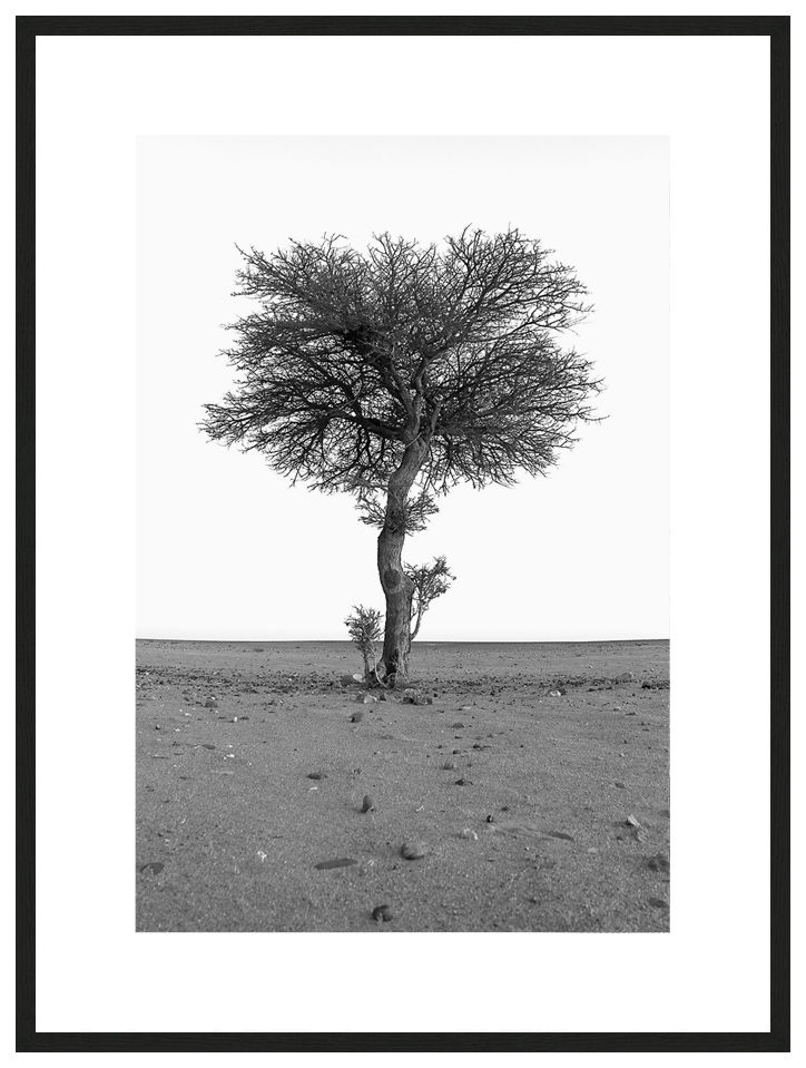 Spirit of Resilience with frame, ESSENTIA Series, Nik Barte