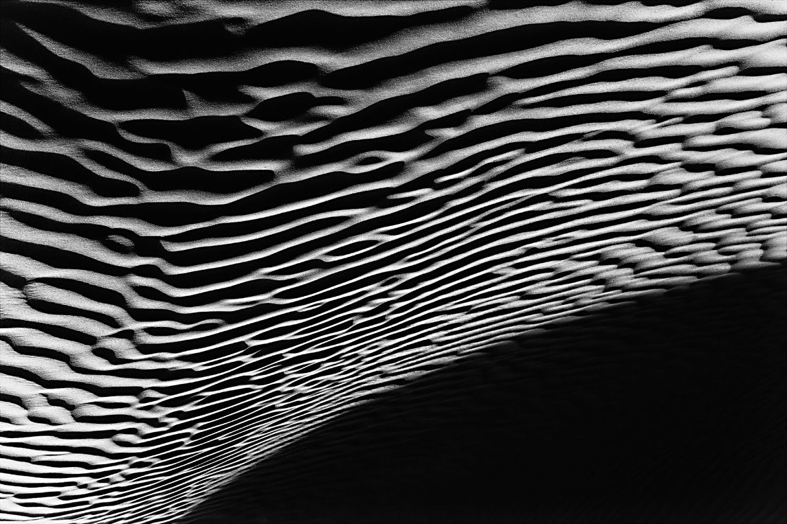 Shadow of The Light / Scare Away The Dark, SENSES Series, Nik Barte