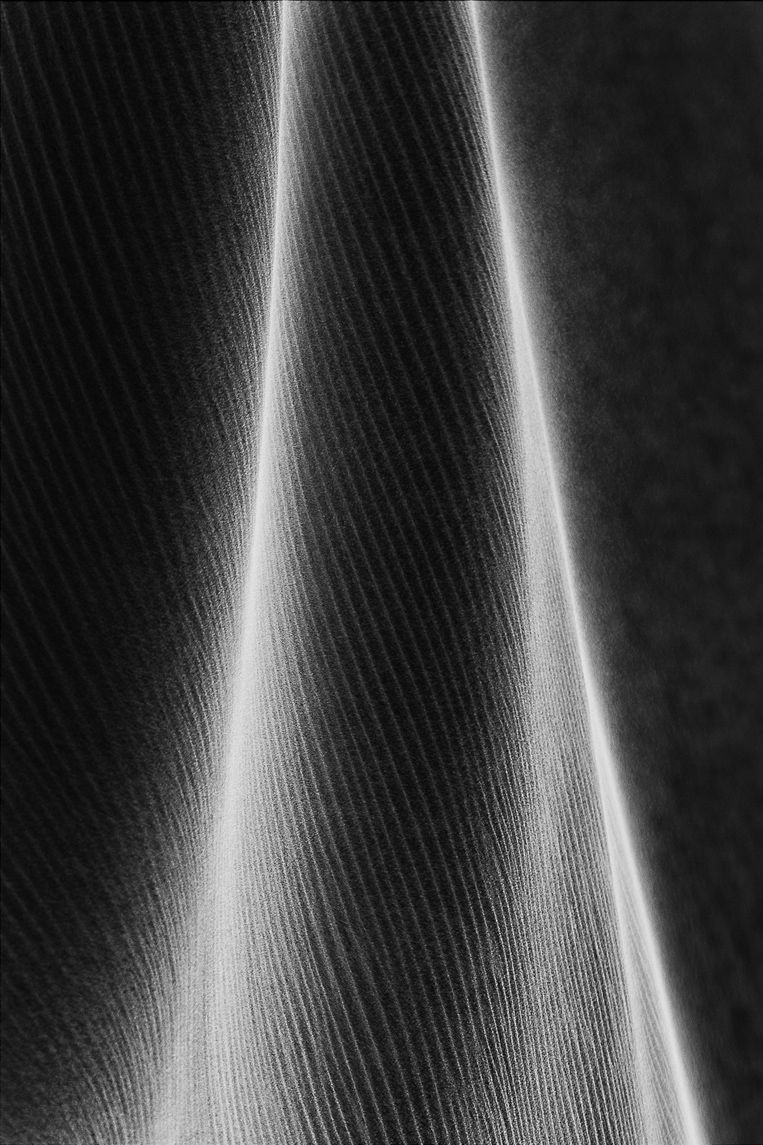 Pretends to Be Darkness, SENSES Series, Nik Barte