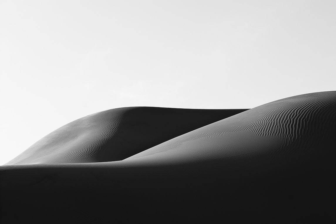 The Elephants, ESSENTIA Series, Nik Barte