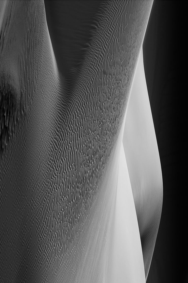 Intimacy II, ESSENTIA Series, Nik Barte