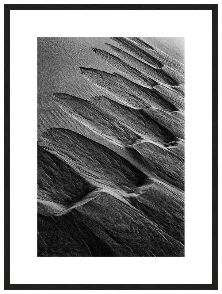 Causes for Migration with frame, ESSENTIA Series, Nik Barte