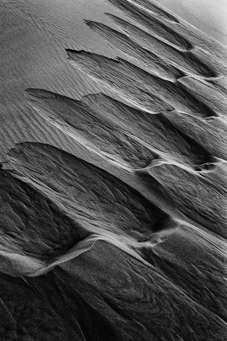 Causes for Migration, ESSENTIA Series, Nik Barte