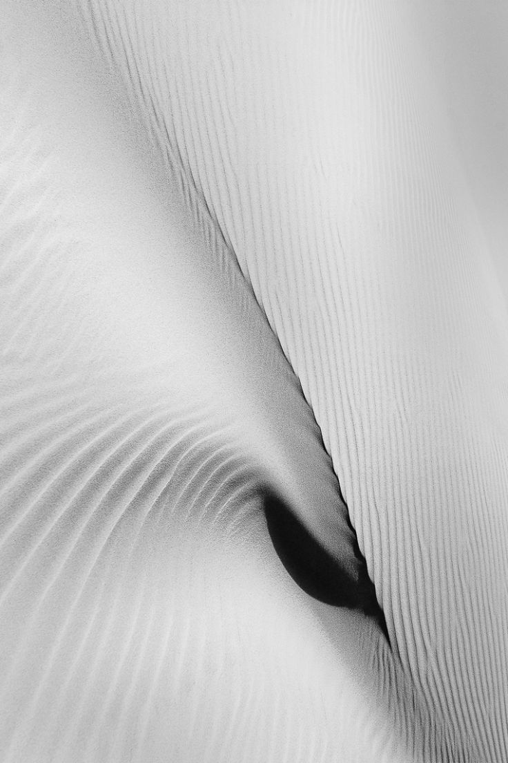 Swan / Love, SENSES Series, Nik Barte