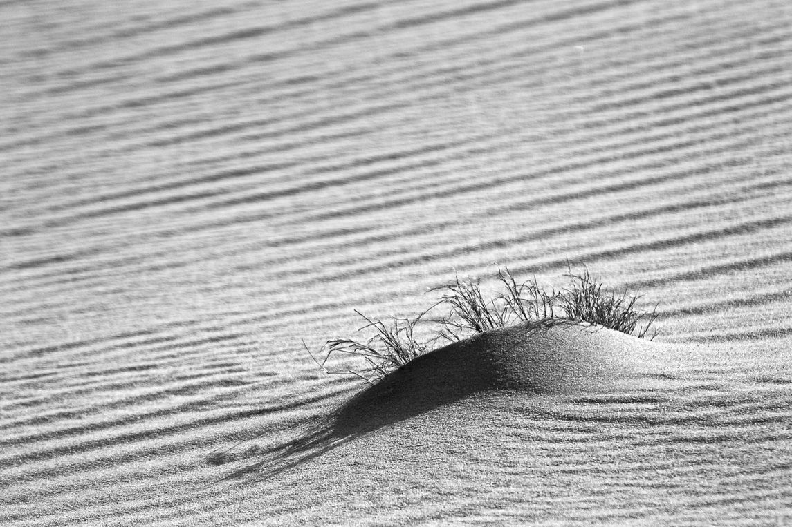 Little Dreamer, SENSES Series, Nik Barte