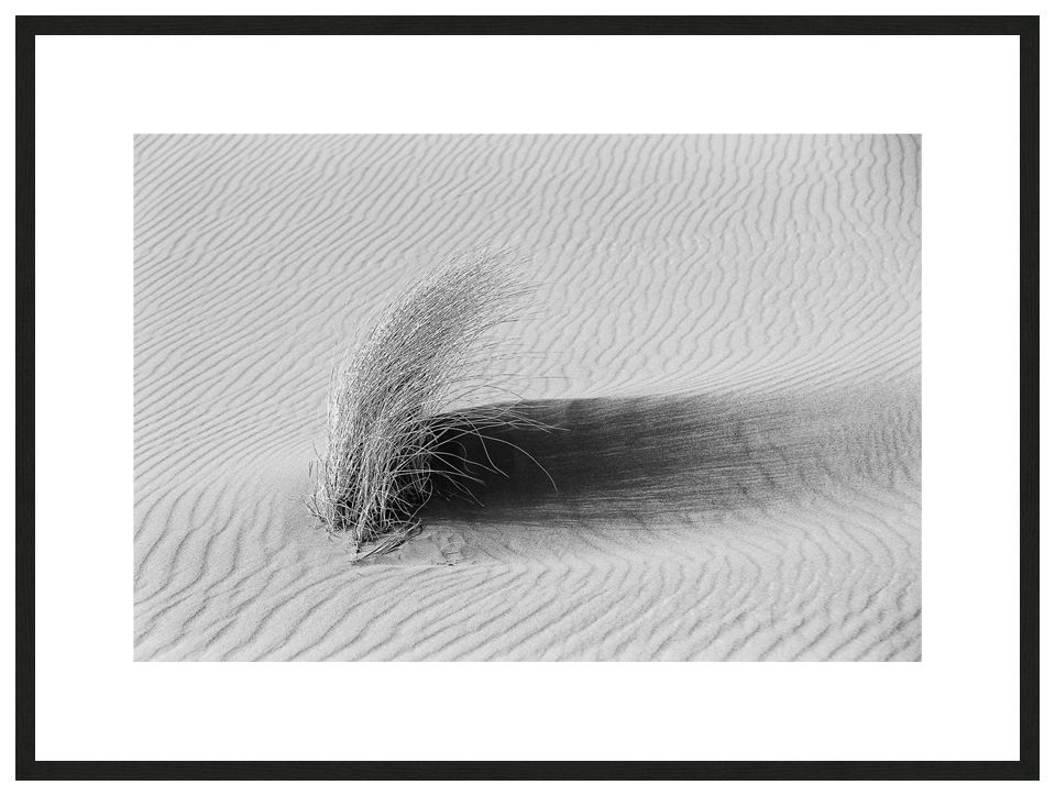Shadow Of Hope with frame, SENSES Series, Nik Barte