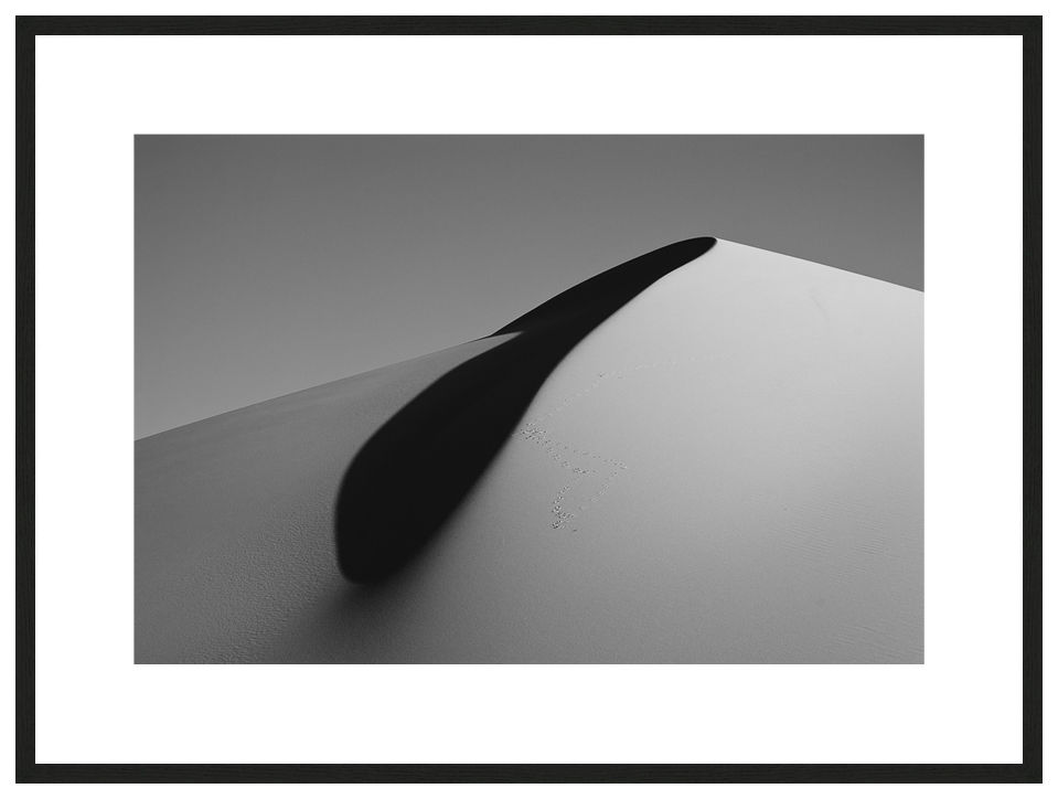 Intruders with frame, ESSENTIA Series, Nik Barte
