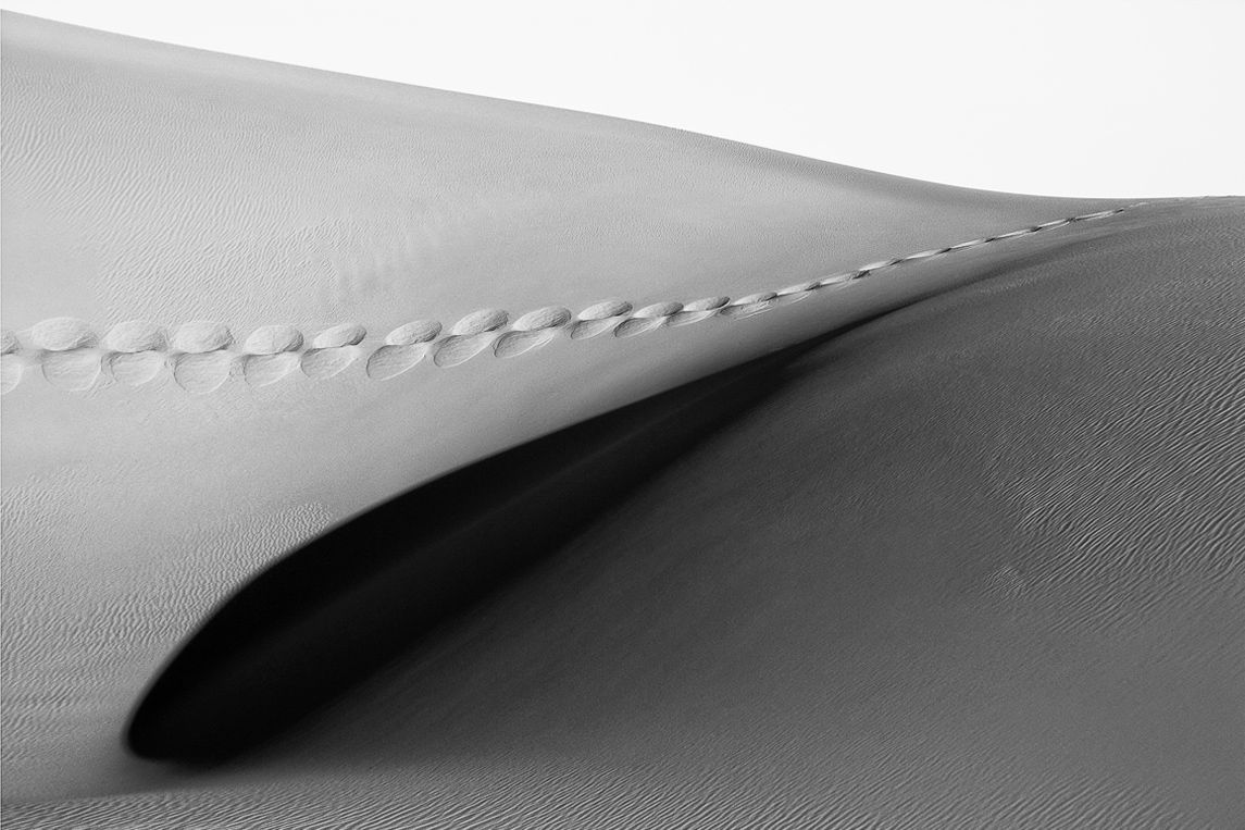 Crossed Destinies, ESSENTIA Series, Nik Barte