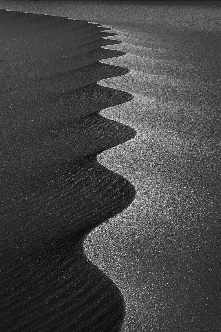 Biorhythms, ESSENTIA Series, Nik Barte