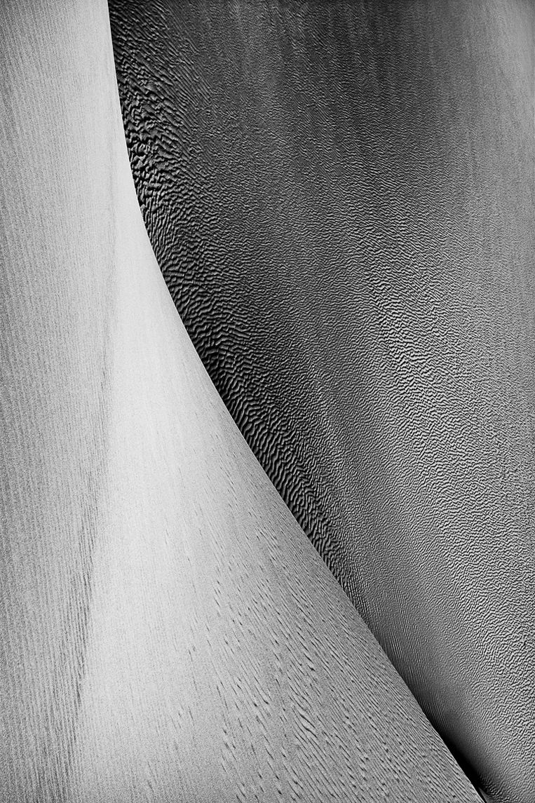 Turn The Page, ESSENTIA Series, Nik Barte
