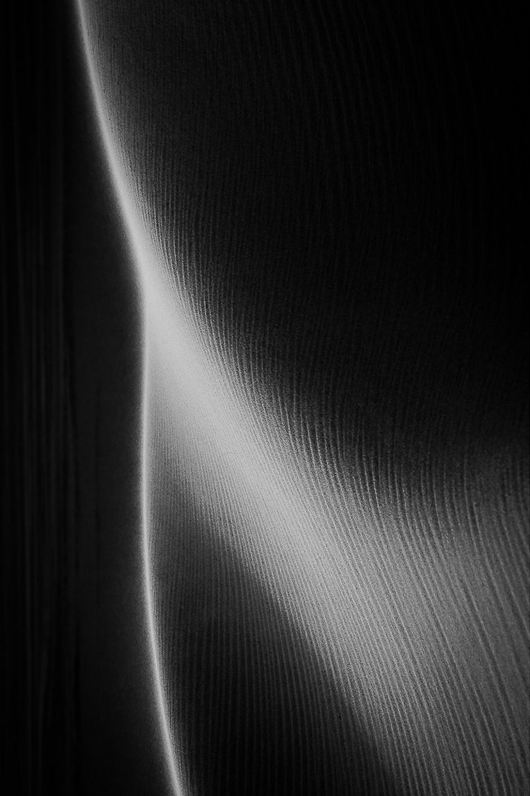 Maternity, ESSENTIA Series, Nik Barte
