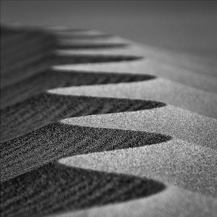 Fragments of Our DNA, ESSENTIA Series, Nik Barte, Sahara Desert