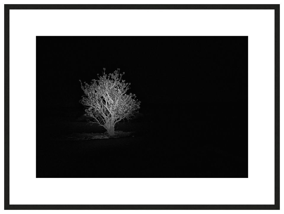 Sodoma by Night with frame, ESSENTIA Series, Nik Barte